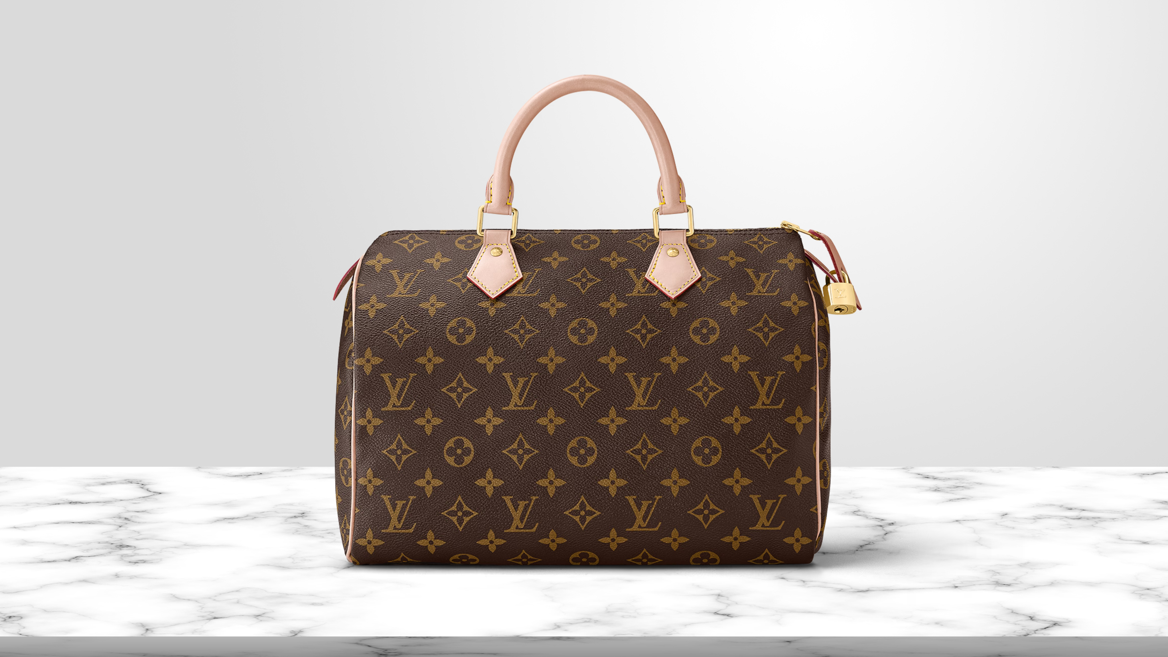 Louis Vuitton Speedy Guidebook